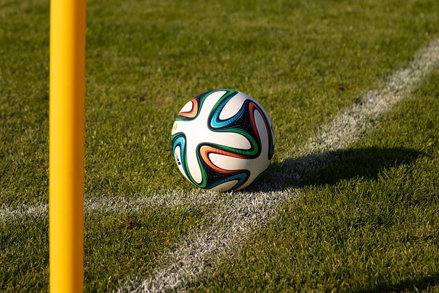 Febre do álbum da Copa reacende consumo impulsivo e exige controle financeiro do brasileiro